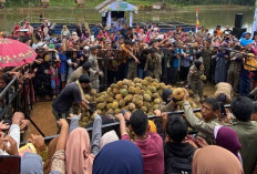 Masyarakat Padati Festival Durian Benteng