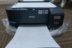 Jarang Digunakan, Ini Sebab Printer Anda Tiba-tiba Rusak