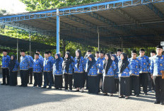 Belanja Pegawai Masih Tinggi, DPRD Minta Pemkot Bengkulu Serius Perkuat Pendapatan