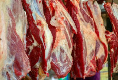  Dampak Buruk Konsumsi Daging Sapi Berlebihan, Bisa Picu Penyakit Berbahaya