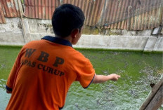 Lapas  Kelas IIA Curup Jadikan Warga Binaan Pelopor Ketahanan Pangan