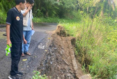 Darurat Longsor! Akses Jalan Terus Tergerus Lintas Kepahiang - Kabawetan di Desa Kutorejo
