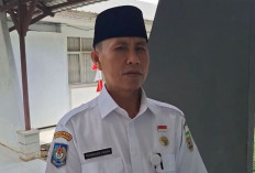 Pemprov Bengkulu Usulkan 4.471 PPPK Paruh Waktu, Validasi Data Sedang Berjalan