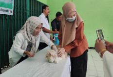 DKPP Kota Bengkulu Siapkan 1.500 Dosis Vaksin Rabies, Ini Targetnya