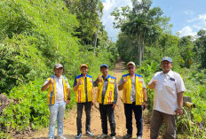 BPJN Survei Lokasi, Peluang Jalan Desa Tanjung Aur Dibangun