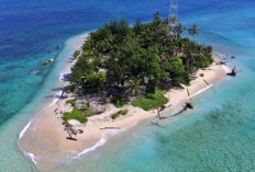 Pulau Tikus, Pulau Destinasi Wisata Pesona Alam di Kota Bengkulu 