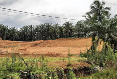 Lahan Sudah Siap, Pembangunan Rusun ASN Belum Ada Kepastian 