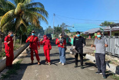 DBD Kembali Menyerang, Dinas Kesehatan BS Lakukan Ini