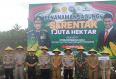 Tanam Jagung Untuk Wujudkan Program Ketahanan Pangan