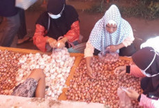 Harga Bawang Merah Masih Tinggi di Mukomuko, Capai Rp 40 Ribu/Kg