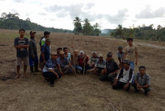 Kelompok Wanita Tani Ujung Tombak Ketahanan Pangan Didorong Aktif Melakukan Kemandirian Pangan