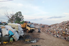 Realisasi PAD Sampah Baru Rp600 Juta dari Target Capai Rp3,5 Miliar, Ini Alasan DLH Kota Bengkulu