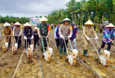  Kapolda Pimpin Penanaman Jagung di Kabupaten Seluma, Manfaatkan Lahan 10 Hektare