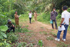 Inspektorat dan Jaksa Hitung KN Dugaan Korupsi Proyek Jalan Desa Tanjung Alam 2 Km