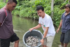 Banyak Ikan Mati di Sungai, Anggota Dewan Ini Lapor ke Polsek