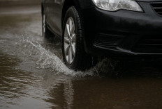 Jangan Asal Keren, Salah Motif Bunga Ban Bisa Berdampak Fatal, Ini Pilihannya 