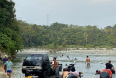 Musim Kemarau, Warga Kaur Beralih ke Sungai