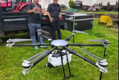 Tingkatkan Produktivitas Padi Sawah dengan Drone