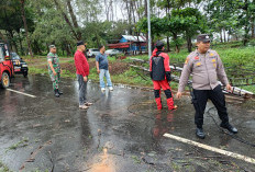 Pohon Tumbang Timpa Kabel Listrik, Lampu Padam dari Subuh, Hingga Tengah Hari Belum Menyala