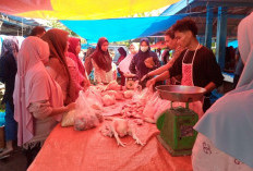 Libur Program MBG di Mukomuko Bikin Harga Sayur dan Cabai Tetap Stabil