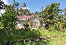 Bupati Minta Pejabat Rawat dan Tempati Rumah Dinas