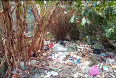 Tumpukan Sampah di Belakang Balai Buntar Meresahkan