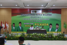 Atur Strategi Pilkada 2024, Plt. Ketum PPP Datang ke Bengkulu
