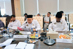 BPK Berikan 7 Rekemondasi Atas LHP Kepatuhan Belanja Modal  Pemprov 2023 dan 2024