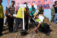 115 Km Bibir Pantai Bengkulu Utara Rawan Abrasi, Mian: Dana Desa Bisa Untuk Tanam Pohon 