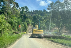 Tahun Depan Jalan Penghubung Kecamatan Ulu Manna - Air Nipis Bisa Dilewati