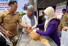 Stok Vaksin Rabies Bengkulu Terbatas, Distribusi 2.000 Dosis Diprioritaskan