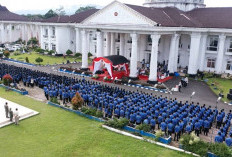  7 ASN Kepahiang Bercerai Sepanjang 2025, Tiga Berstatus PPPK