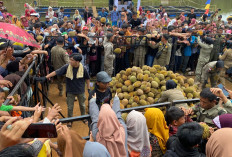 5 Provinsi di Indonesia Penghasil Durian Terbanyak