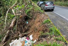Masih Banyak Kendaraan Menyelonong di Traffic Light 