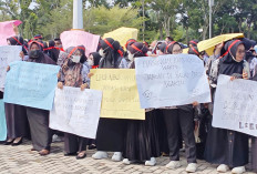 Pemkab Siapkan 1.917 Usulan Penerimaan PPPK, Nasib Honorer Mukomuko Menunggu Aturan Pusat