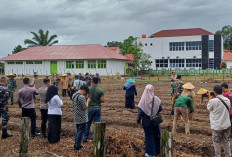 1 Juta Hektare Tanam Jagung, Mukomuko Masih Kekurangan Lahan