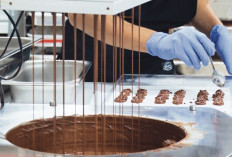 Asosiasi Industri Apresiasi Pemerintah Tingkatkan Produktivitas Kakao, Kembangkan Industri Berbasis Kakao