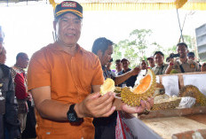 Pemerintah Kabupaten Rejang Lebong Lirik Potensi Budidaya Durian, Ini yang Akan Dilakukan