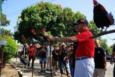 Banyak Fauna Langka Bengkulu Terancam Punah, Ini Kata Gubernur Rohidin