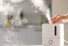 Cocok untuk Dibeli, Ini 8 Fungsi Humidifier atau Pelembap Udara di Rumah