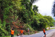 Waspada! Jalan Lintas Bengkulu - Kepahiang Kembali Longsor