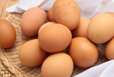 Cegah Telur Cepat Busuk, Sebaiknya Simpan Di Kulkas atau Ruang Terbuka ? Ini Jawabannya