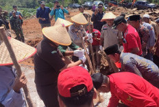  Replanting Perkebunan Masyarakat Akan Hasilkan 18.468 Ton TBS Kelapa Sawit 