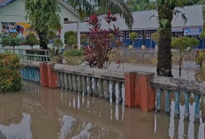 Kembali Diguyur Hujan, Satu Sekolah Dasar di Bengkulu Kebanjiran 
