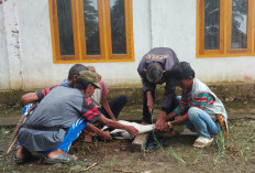 Oknum Warga Kepergok Berduaan Bersama Istri Orang, Cuci Kampung