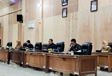 Purnatugas, Pimpinan DPRD Mukomuko Akan Dapat Mobil Tanpa Proses Lelang