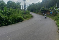 Jalan Provinsi di Lebong Ambles, Bahayakan Pengendara