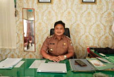 November, MPP Kabupaten Kaur Diuji Coba