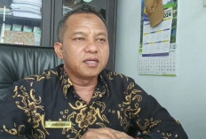Titik Terang Insinerator Limbah Medis Bengkulu, Yanmar: 80 Persen Akan Dibangun
