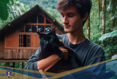 Kamu Sudah Tahu? Berikut 5 Fakta Unik Kucing Hitam